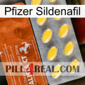 Pfizer Sildenafil 42